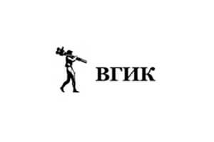 логотип сайта vgik.info