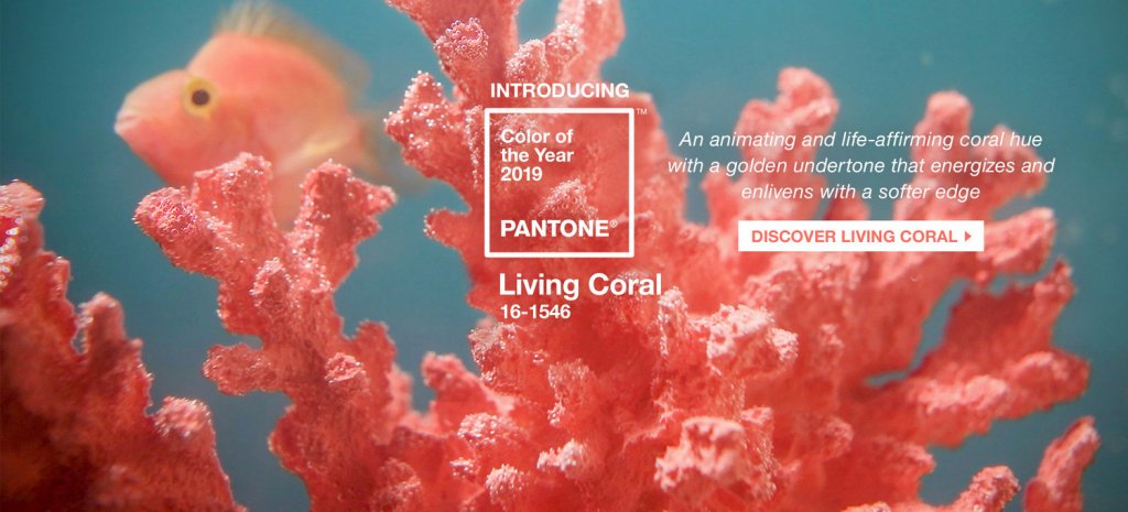 Цвет 2019 — Живой корал