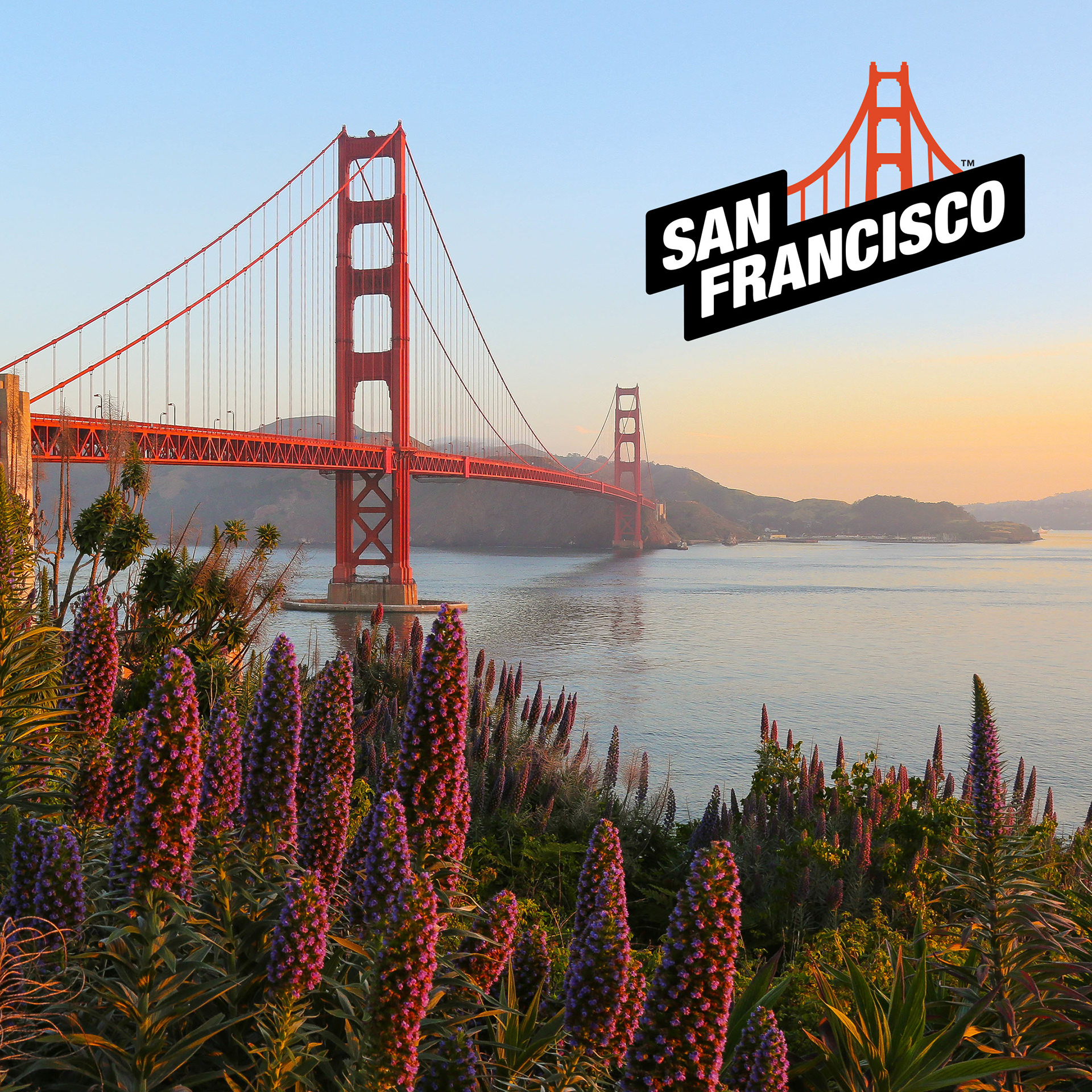 Логотип для города San Francisco