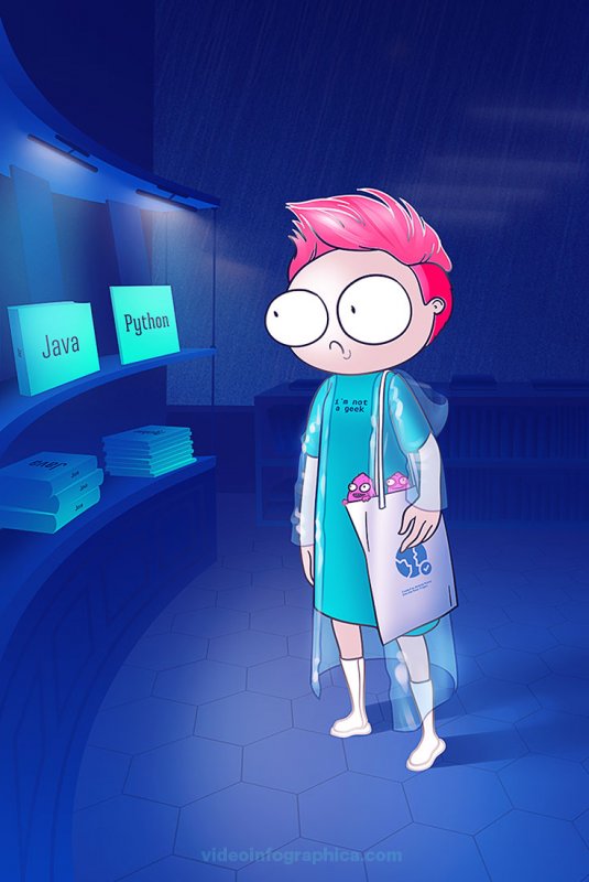 Какие языки программирования учить в 2024 (для начинающих)