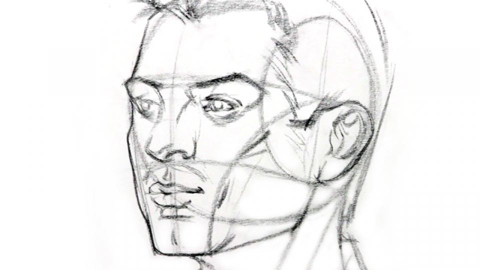 Draw the Head From Any Angle | Proko