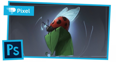 Как нарисовать божью коровку