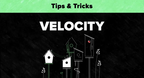 Анимация полета