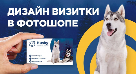 Создание визитки