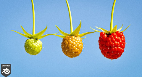 Растущая ягода в Блендер