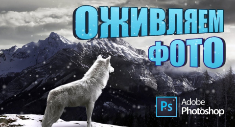 Как анимировать фотографию