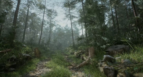 Как создать лес